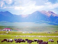 -郭莽湿地