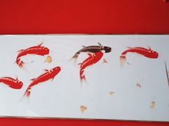 -饕然·民间川菜(龙泉店)
