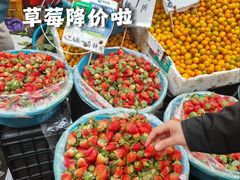 -海吉星市场