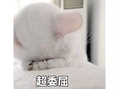 -兄弟深夜豆浆