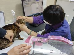 -北京观赏动物医院·24小时大型综合·猫专科·异宠专科