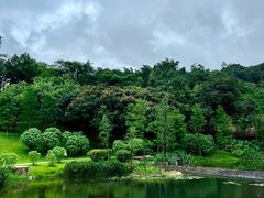-云溪植物园