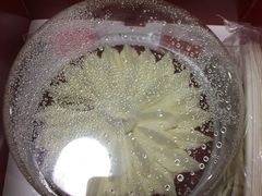 -哈根达斯(宁波和义店)