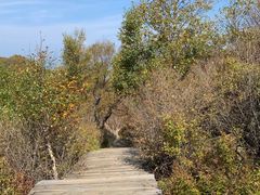 -白草畔自然风景区