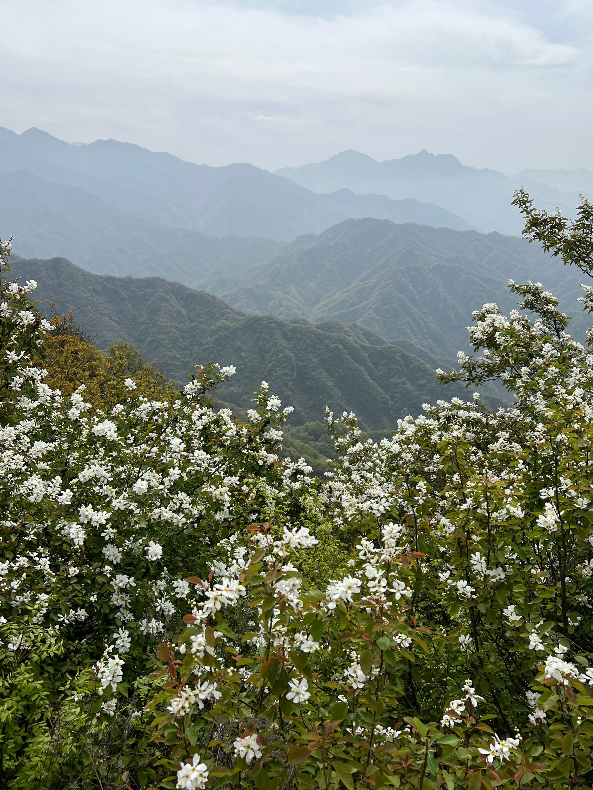 从上王村徒步黄峪寺图片