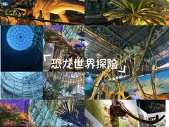 -中国西峡恐龙遗迹园