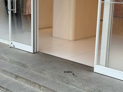 -好利来(西罗园店)