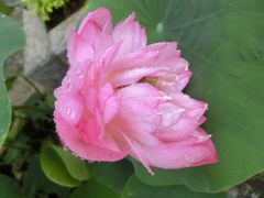 -龙环葡韵住宅式博物馆