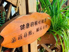-慢丽江·云南野生菌土鸡锅(西山店)