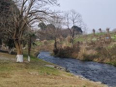 -两河城市森林公园
