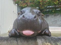 -兰剑驾校(汉阳校区)