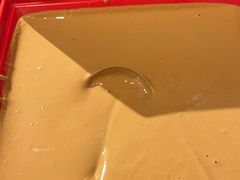 -额尔敦草原涮羊肉·烧烤(冻青树总店)