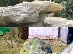 -广州长隆野生动物世界