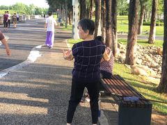 -宝安西湾红树林湿地公园