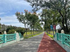 -上海长兴岛郊野公园