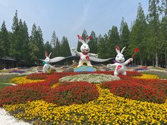 -东平国家森林公园