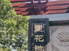 -莲花池公园