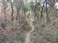 -南京老山国家森林公园