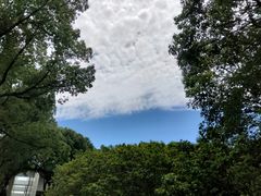 -独墅湖图书馆停车场