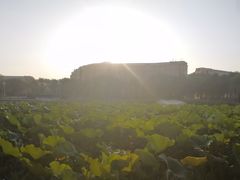 -哈尔滨师范大学(松北校区)