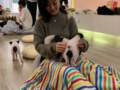 -浣熊柯尔鸭土拨鼠·电玩咖