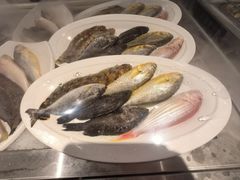 -闽海肴(北辰荟店)