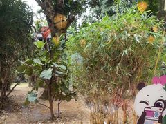 -熊猫自助餐厅.萌趣城堡(长隆熊猫酒店)