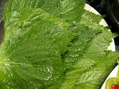 -完美生活炭火烤肉(二马路店)