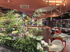 -黔江鸡杂火锅(红星路一段)