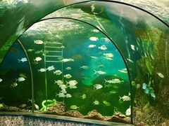 -大明湖海底世界