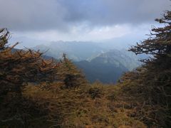-秦岭风景区