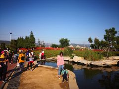 -羊亭河湿地公园