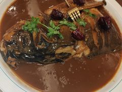 -鲁宴·鲁煨黄河生态大鲤鱼(月坛店)