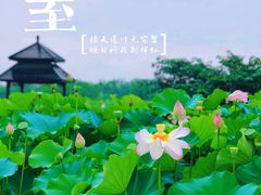 -梁鸿国家湿地公园