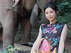 -野象谷景区
