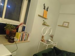 -星漾美学美容美体中心