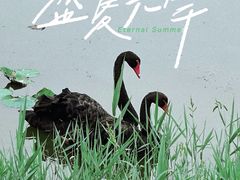 -天津东丽湖风景区