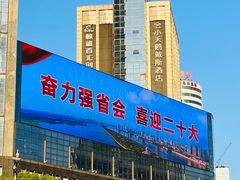 -长沙小天鹅戴斯酒店