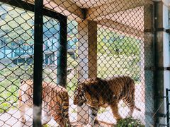 -大连森林动物园