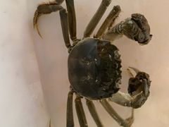 -江杨农产品批发市场