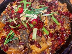 -老板恋上鱼(恒隆广场店)