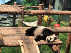 -大连森林动物园