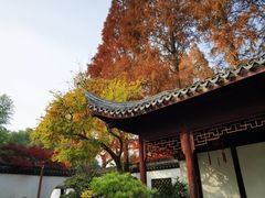 -上海醉白池公园