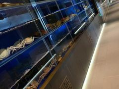 -隆聚时令海鲜(一舟店)