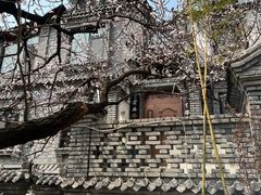 -老张烤羊(王哥庄店)