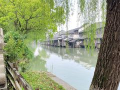 -乌镇景区