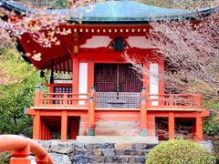 -醍醐寺