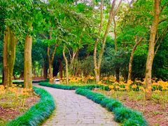 -杭州植物园