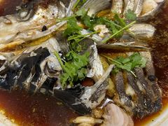 -珊溪水库野生有机包头鱼