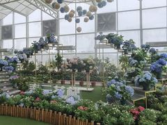 -盈香心动乐园